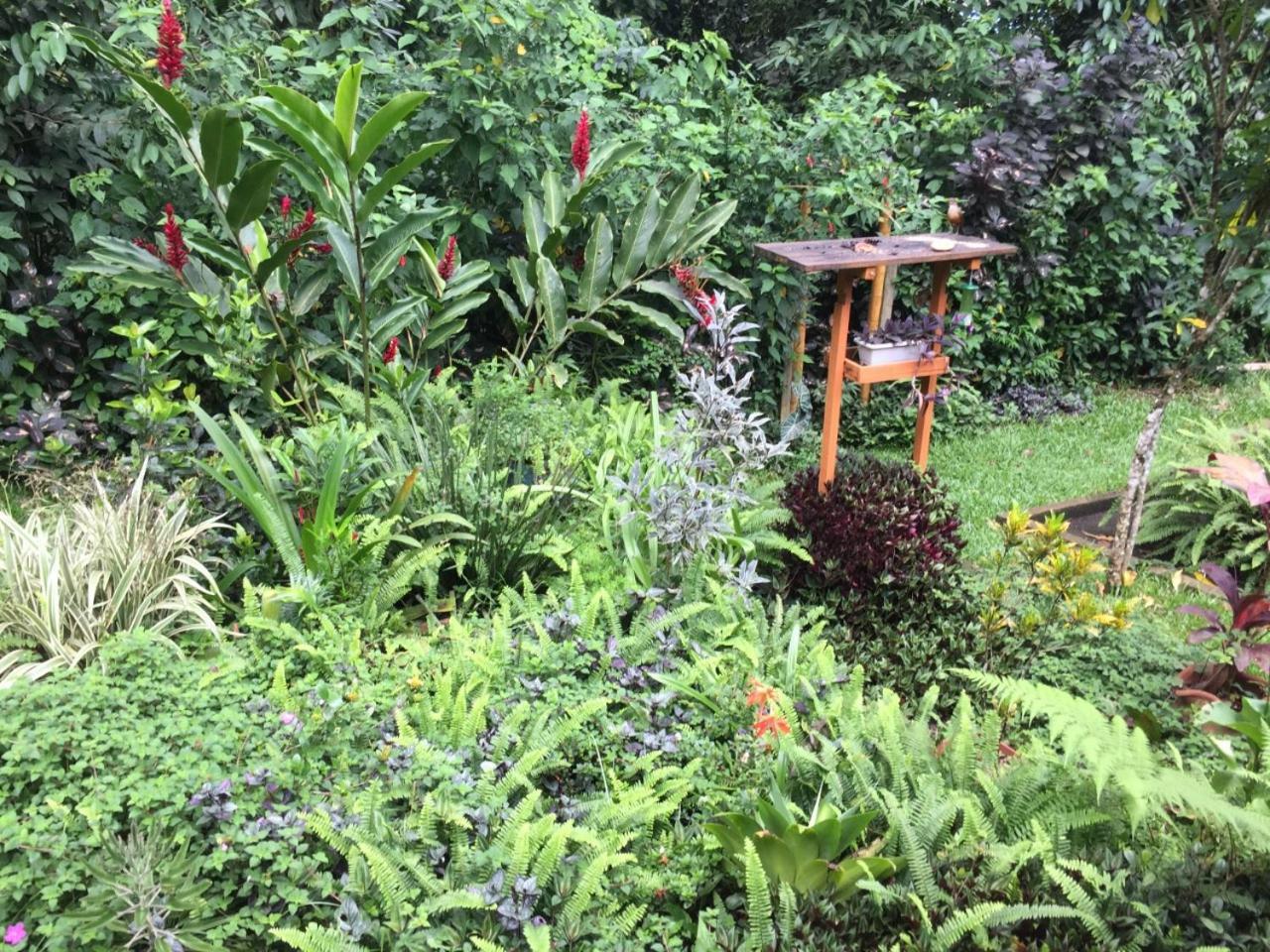 Casa Arariba - Ilha Grande - Abraão Dış mekan fotoğraf