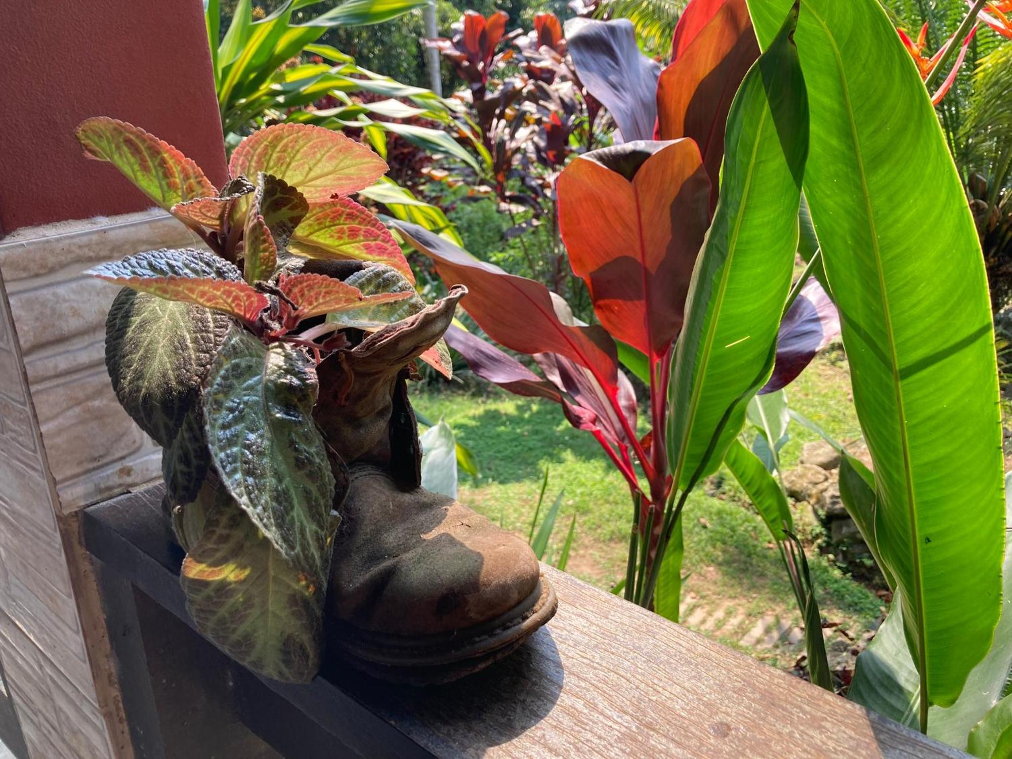 Casa Arariba - Ilha Grande - Abraão Dış mekan fotoğraf